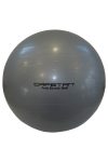 Capetan® Classic 65 cm Durchm. Gymnastikball in silberner Farbe – Fitnessball